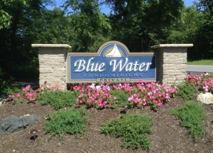 Welcome to Blue Water